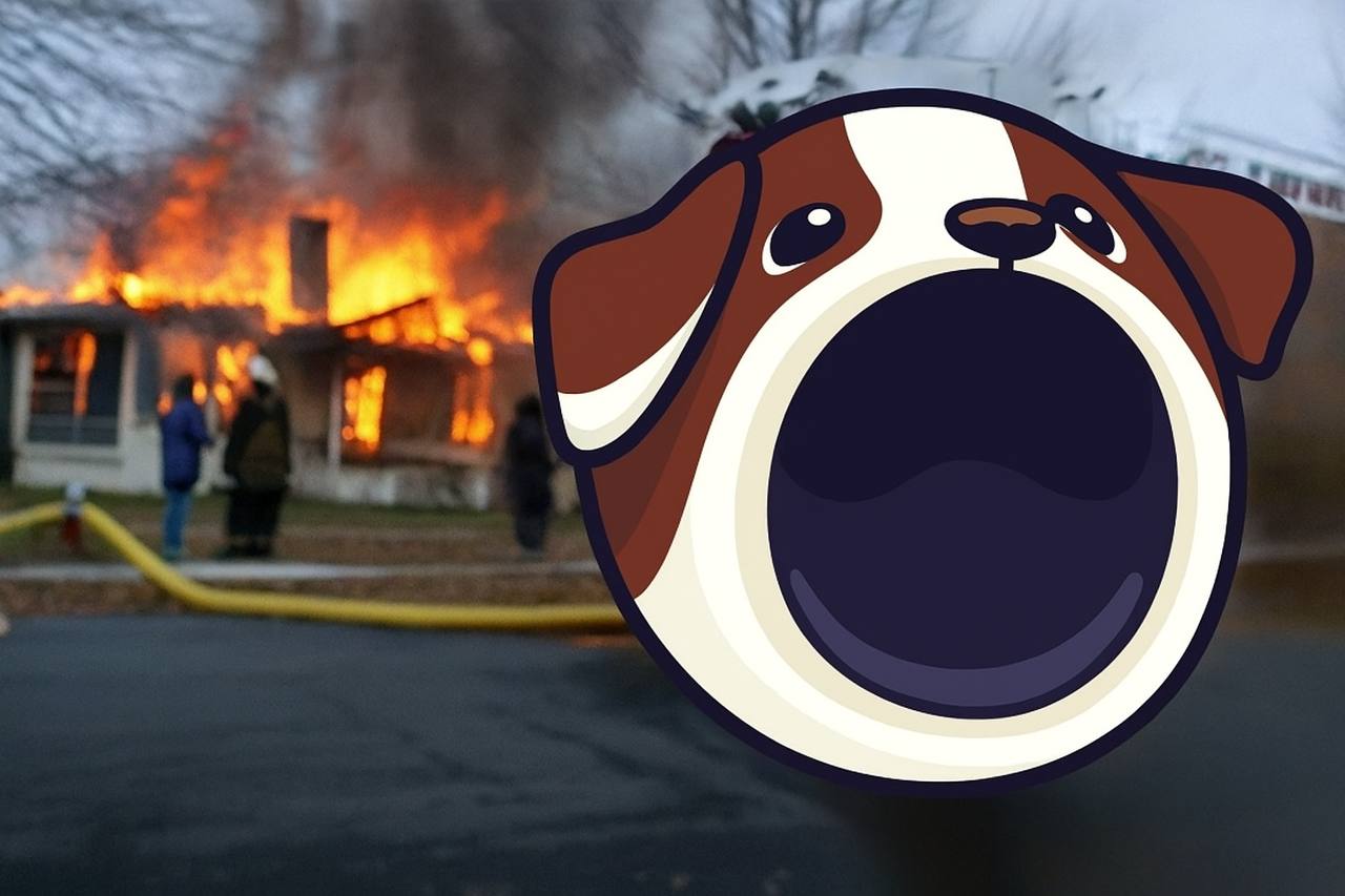 Popdog watching the world burn